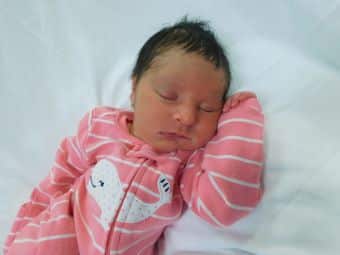 Josie Lynn Web