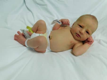 Owen Timothy Web2