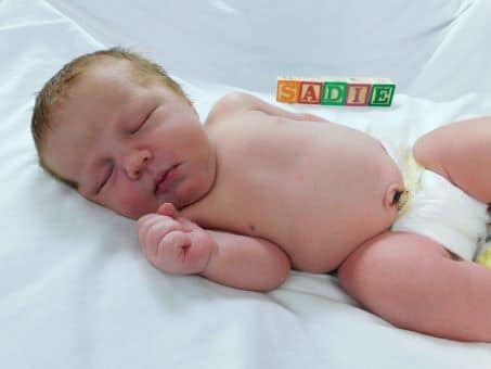 Sadie Sue Web