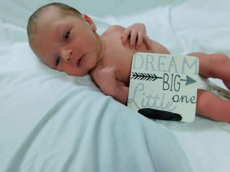 Zeppelin Jeffrey James Web