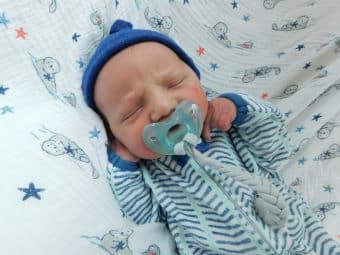 Jaxon Web