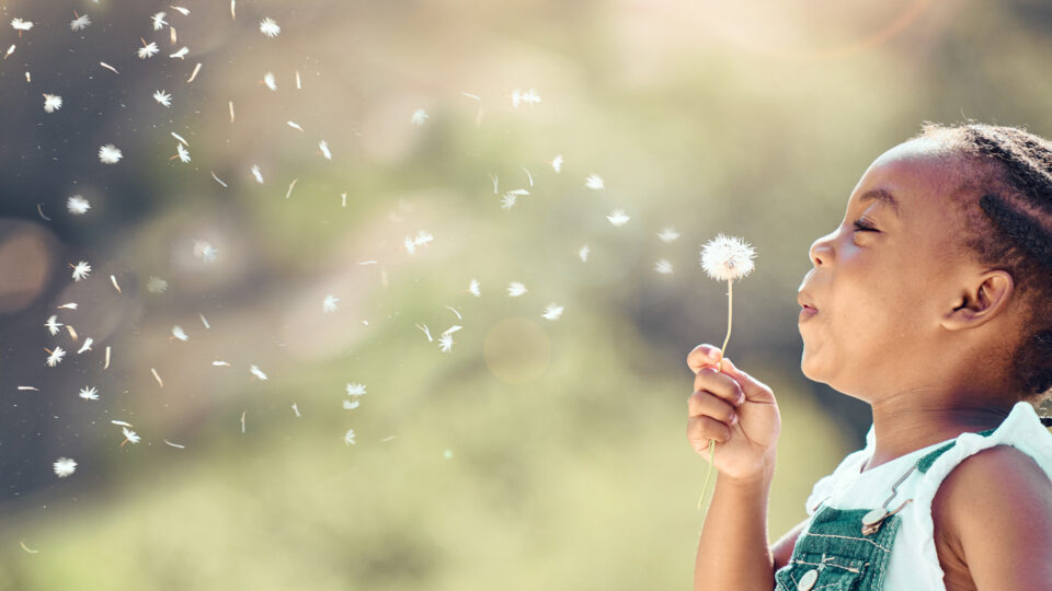 Happy Little African American Girl Blowing A Flower In Outside. Cheerful Child Having Fun Playing And Blowing A Dandelion Into The Air In A Park. Kid Having Fun With Joy Playing With A Plant Outdoors