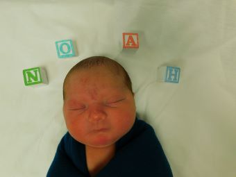 Noah Lee