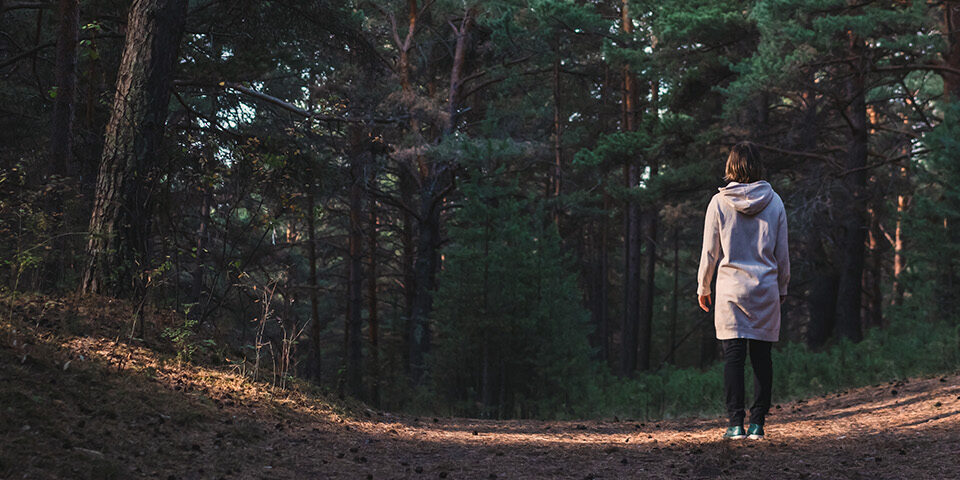 A person walks alone through a shadowed forest path, symbolizing the isolation and emotional journey often experienced by individuals coping with PTSD and trauma.