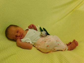 Eleanore Willow Violet