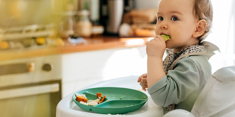 Baby in a highchair exploring first solid foods, holding a veggie with a green plate of snacks—representing the start of solid food introduction.