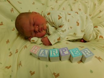 Harper Ann
