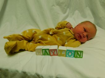 Waylon Ray