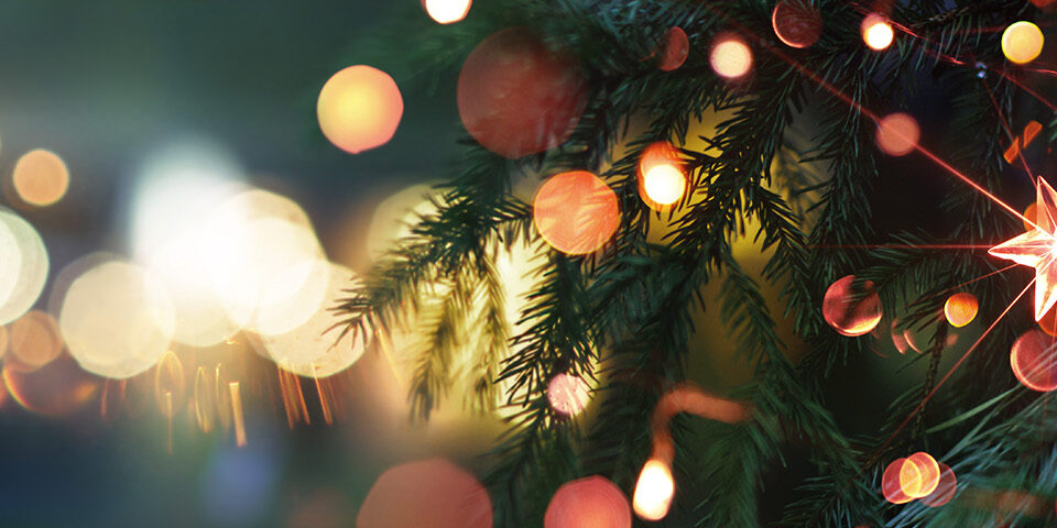 Close-up of glowing lights and a star ornament on CRMC’s Tree of Love, honoring the hospice program’s conclusion and the many patients and families it served.