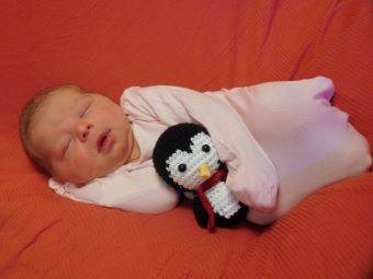 Willow Lorelei Kramer