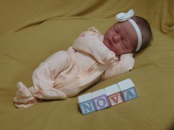 Nova Lynn