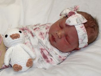 Lauren Sally