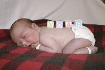Noah Walter2