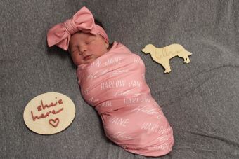 Harlow Jane2